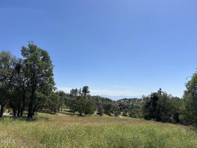 0 Jacks Hill Road, Tehachapi CA: https://media.crmls.org/mediaz/f4922d0e-7d22-4e5f-b30d-380b30ae73cc.jpg