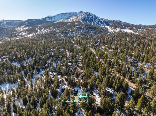 50 Hidden Valley Rd., Mammoth Lakes CA: https://media.crmls.org/mediaz/f4a1e211-5869-4183-b205-926fce5bbace.jpg