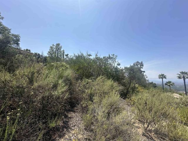 0 Sage Hill Way, Escondido CA: https://media.crmls.org/mediaz/f4a66986-476d-4d3d-8ec3-743058a0a5ad.jpg