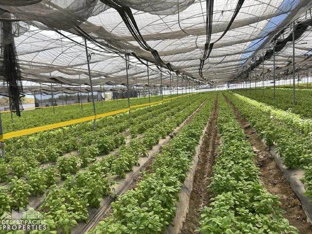 77.6 AC 78100 Harrison St, OA (3)