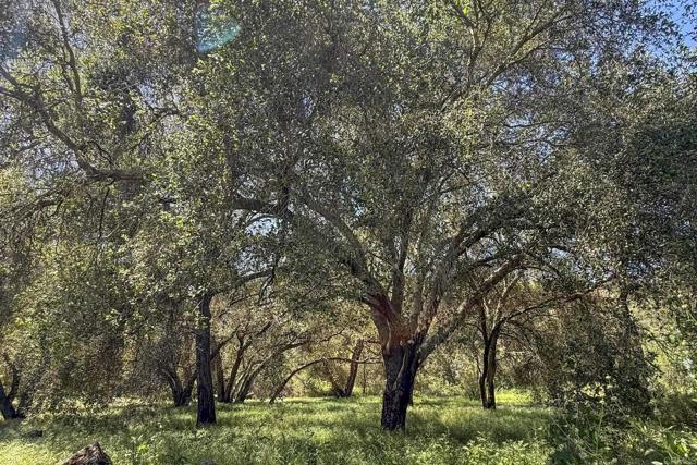 Detail Gallery Image 65 of 74 For 26940 Paradise Meadow Ln, Valley Center,  CA 92082 - 3 Beds | 2 Baths