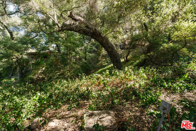 1289 Old Topanga Canyon Road, Topanga CA: https://media.crmls.org/mediaz/f4b2850e-87fb-47e3-8c47-85ed4a18a75e.jpg