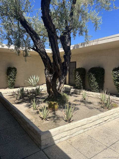 547 Desert Way, Palm Springs, California 92264, ,Multi-Family,For Sale,Desert Way,250021029SD