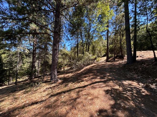 1720 Jacobs Way, Placerville CA: https://media.crmls.org/mediaz/f4be7e53-8d96-4a27-a440-bdda726d80db.jpg