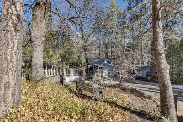 25585 Alderwood St Street, Idyllwild CA: https://media.crmls.org/mediaz/f4c1e0f9-87ff-471f-8234-f56495e6aef1.jpg