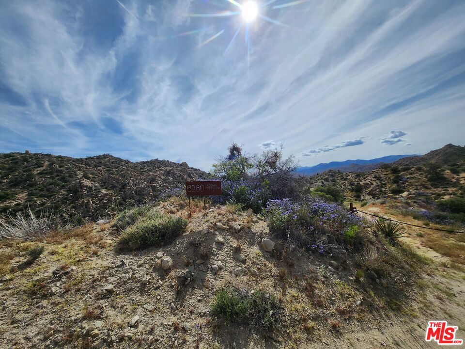 MLS #23291589 image #27
