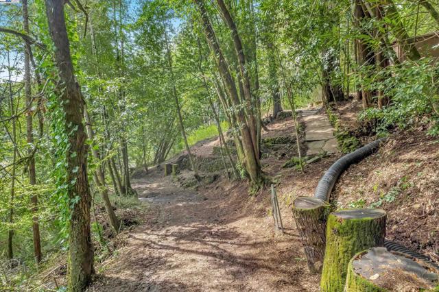 Details for 21409 Hazel Way, Monte Rio, CA 95462