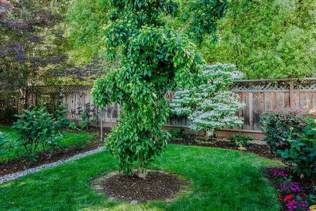 229 Aragon Boulevard, San Mateo CA: https://media.crmls.org/mediaz/f4ca4b70-c6f9-4572-88a8-99599dcda852.jpg