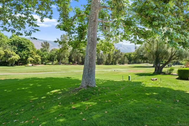32676 Taspa Ct, Pauma Valley CA: https://media.crmls.org/mediaz/f4cb3876-5c4c-4f4f-a6a2-4179e91abd4c.jpg