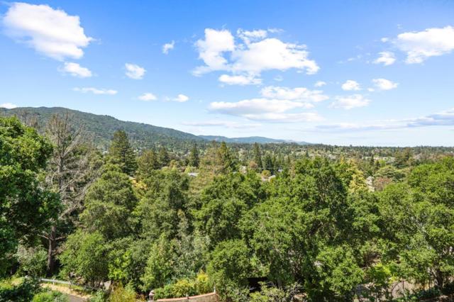 Image 58 of 85 For 100 Hollywood Avenue