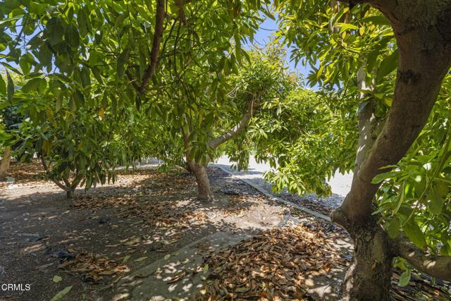 4226 Hitch Boulevard, Moorpark CA: https://media.crmls.org/mediaz/f4ce8be2-978a-43b7-abdd-f30ddb5cdd04.jpg