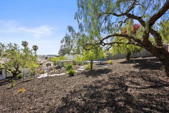 322 Elm Street, San Carlos CA: https://media.crmls.org/mediaz/f4d6be89-454c-4979-8da9-eee93075c0a7.jpg