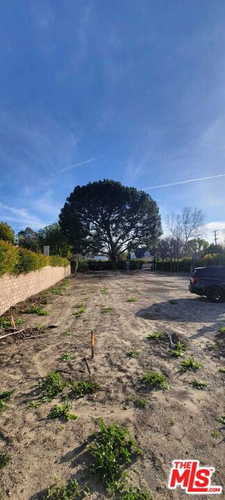 23461 Hatteras Street photo 5