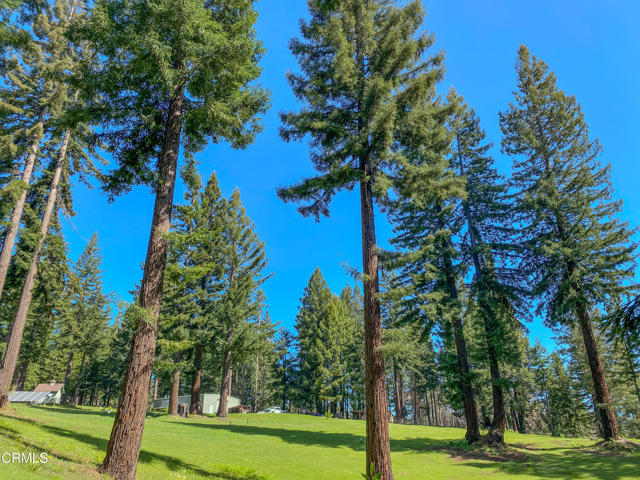 Detail Gallery Image 31 of 49 For 13740 Peregrine Rd, Boonville,  CA 95415 - – Beds | – Baths