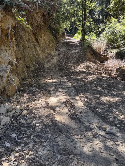 2950 Bear Canyon Road, Los Gatos CA: https://media.crmls.org/mediaz/f4fb8175-bc05-4be7-b1d5-4b8184bb4030.jpg