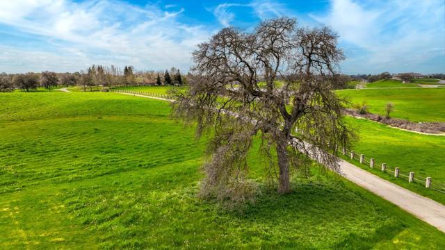 24943 N McIntire Road, Clements CA: https://media.crmls.org/mediaz/f50a145d-9625-4171-a54b-e1ece6acfa19.jpg