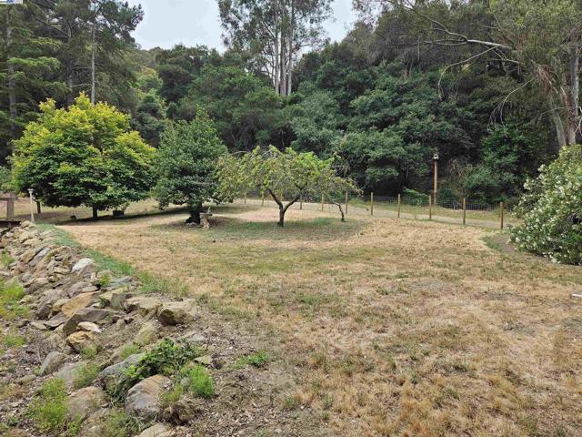 29625 Palomares Rd, Castro Valley CA: https://media.crmls.org/mediaz/f50e251f-a0a1-474e-9f5e-55c215a6cb00.jpg