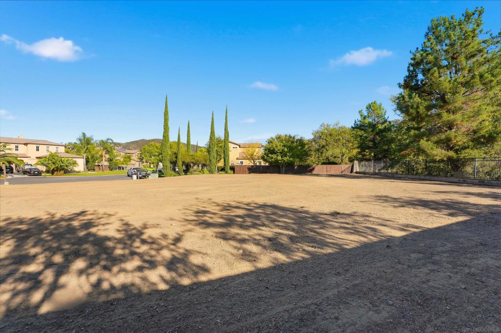 MLS #250043016SD image #9