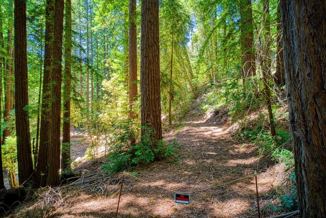 15998 Stetson Road, Los Gatos CA: https://media.crmls.org/mediaz/f51a252b-b8f0-44d4-b174-8baa45bccfa4.jpg