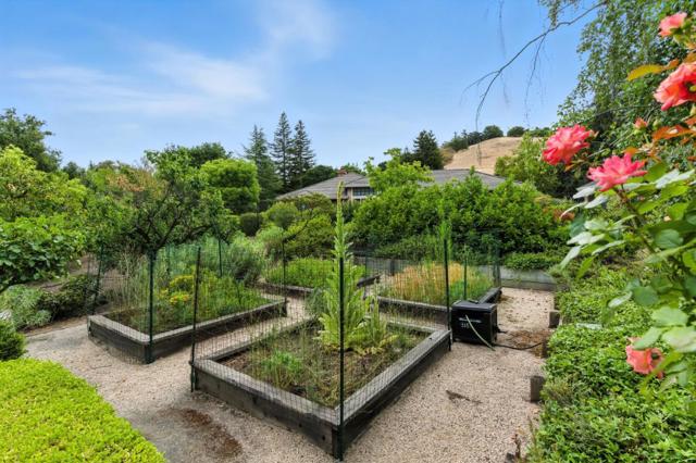 14210 Berry Hill Court, Los Altos Hills CA: https://media.crmls.org/mediaz/f51bffbd-25cb-4563-8436-14414728d666.jpg