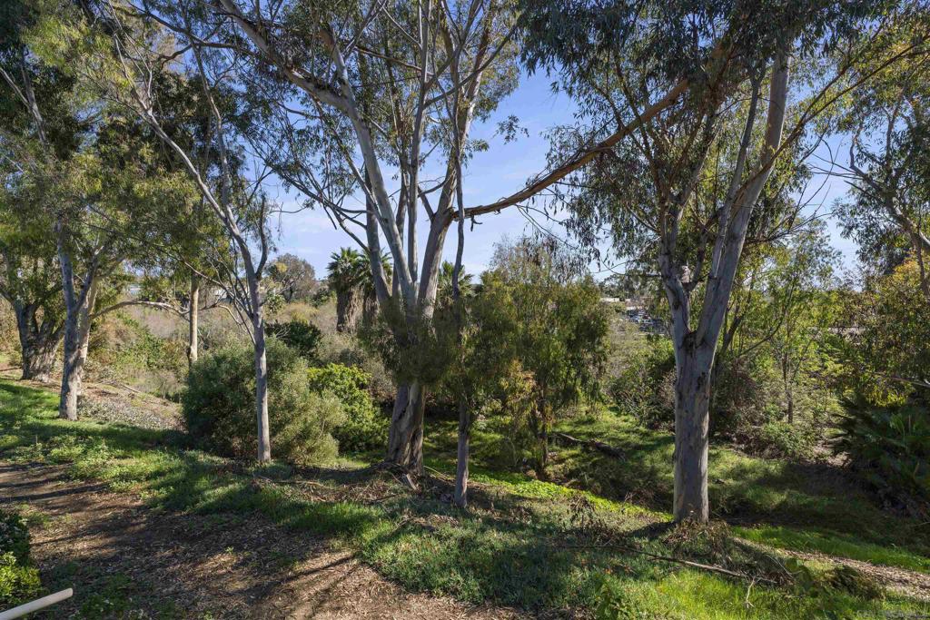 2605 Pico Place - photo 20