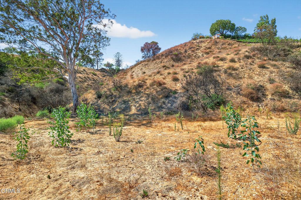 MLS #V1-32289 image #2