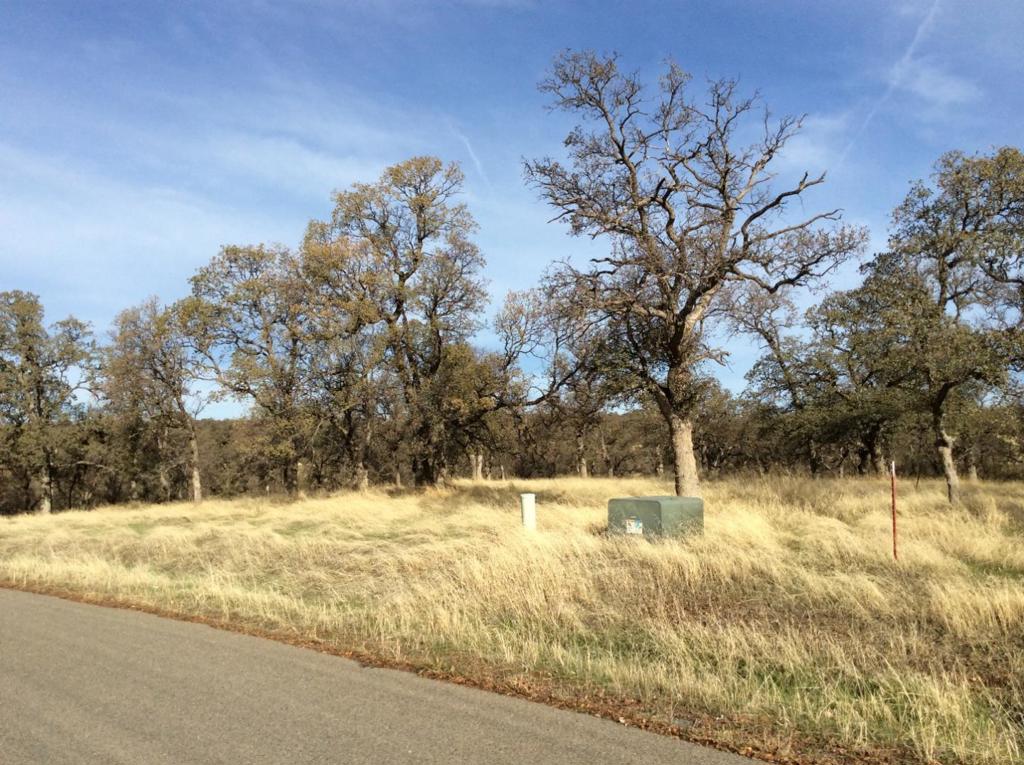 MLS #ML81976138 image #7