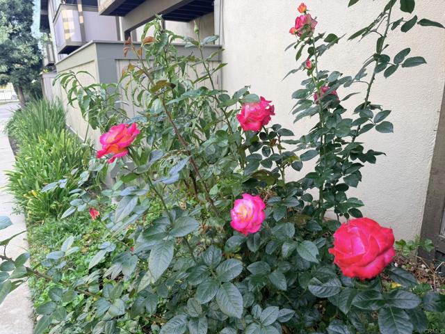 Detail Gallery Image 27 of 27 For 808 Coriander Dr #D,  Torrance,  CA 90502 - 1 Beds | 1 Baths