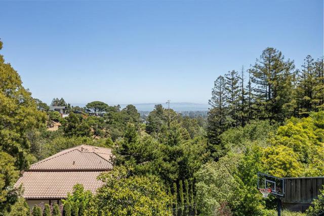1095 Macadamia Drive, Hillsborough CA: https://media.crmls.org/mediaz/f5330dcc-edf4-4552-9026-2a02560f7dff.jpg