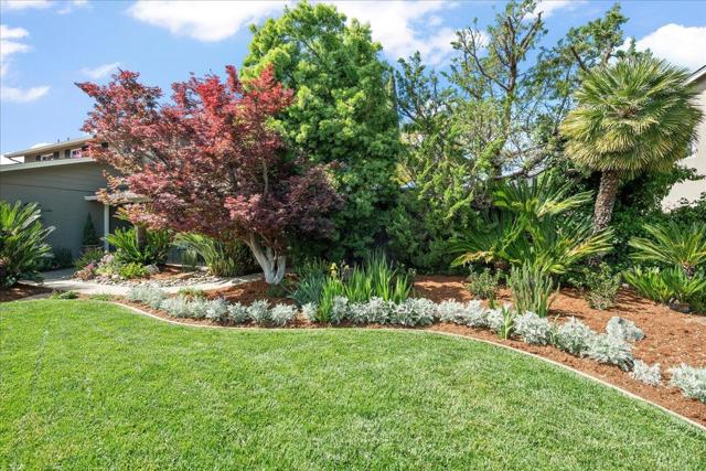 1101 Culligan Boulevard, San Jose CA: https://media.crmls.org/mediaz/f536058f-354e-4bd9-9931-e0b28b93355d.jpg