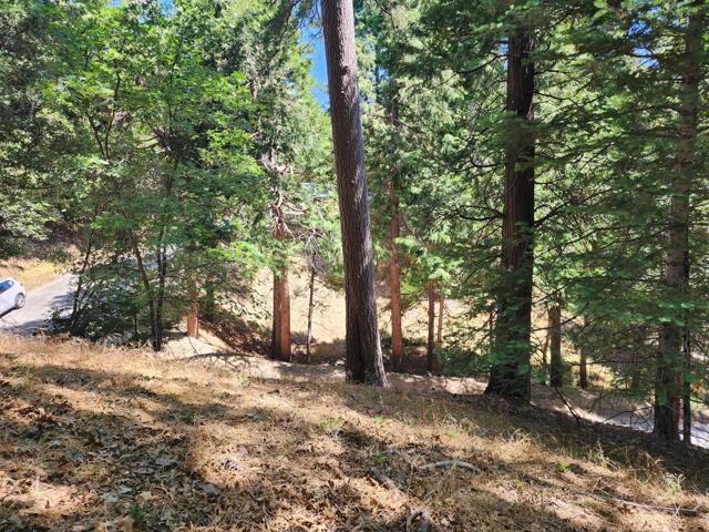 0 Edelweiss Drive, Crestline CA: https://media.crmls.org/mediaz/f5376378-20d6-4932-bbf5-1790083a9e28.jpg