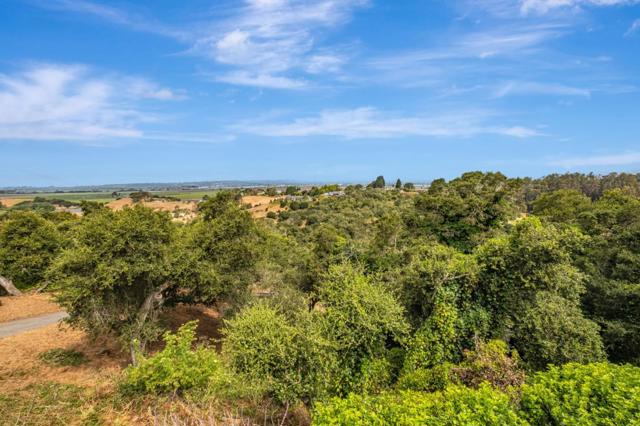 2505 Garin Road, Royal Oaks CA: https://media.crmls.org/mediaz/f53bd7f3-330a-40f4-acef-ef6e19ec34c8.jpg