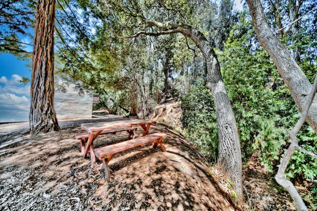 1770 Gazelle Way, Hayward CA: https://media.crmls.org/mediaz/f543c001-9f8d-4767-a902-98797493b4cb.jpg