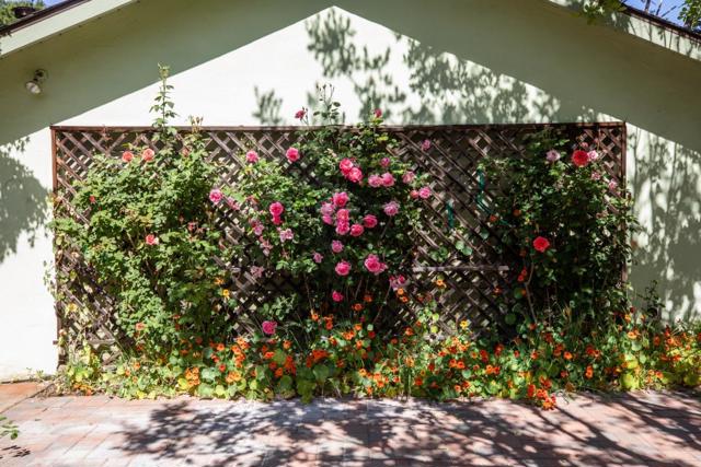 Image 29 of 37 For 800 Loyola Drive