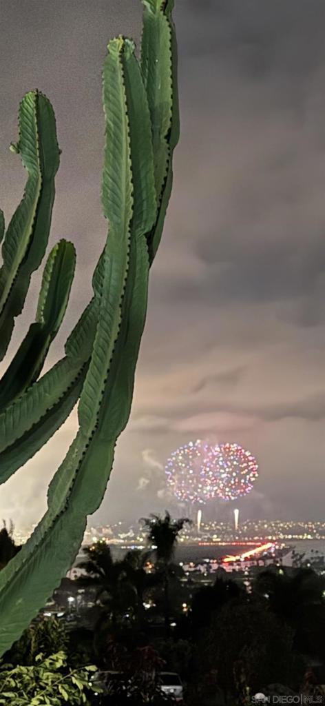 MLS #250033080SD img 25