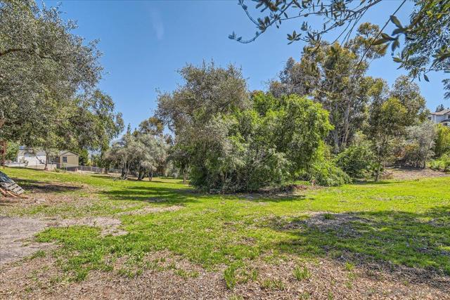 4359 Date Ave, La Mesa CA: https://media.crmls.org/mediaz/f56858f8-ac6f-4927-9210-2eceb9152be1.jpg