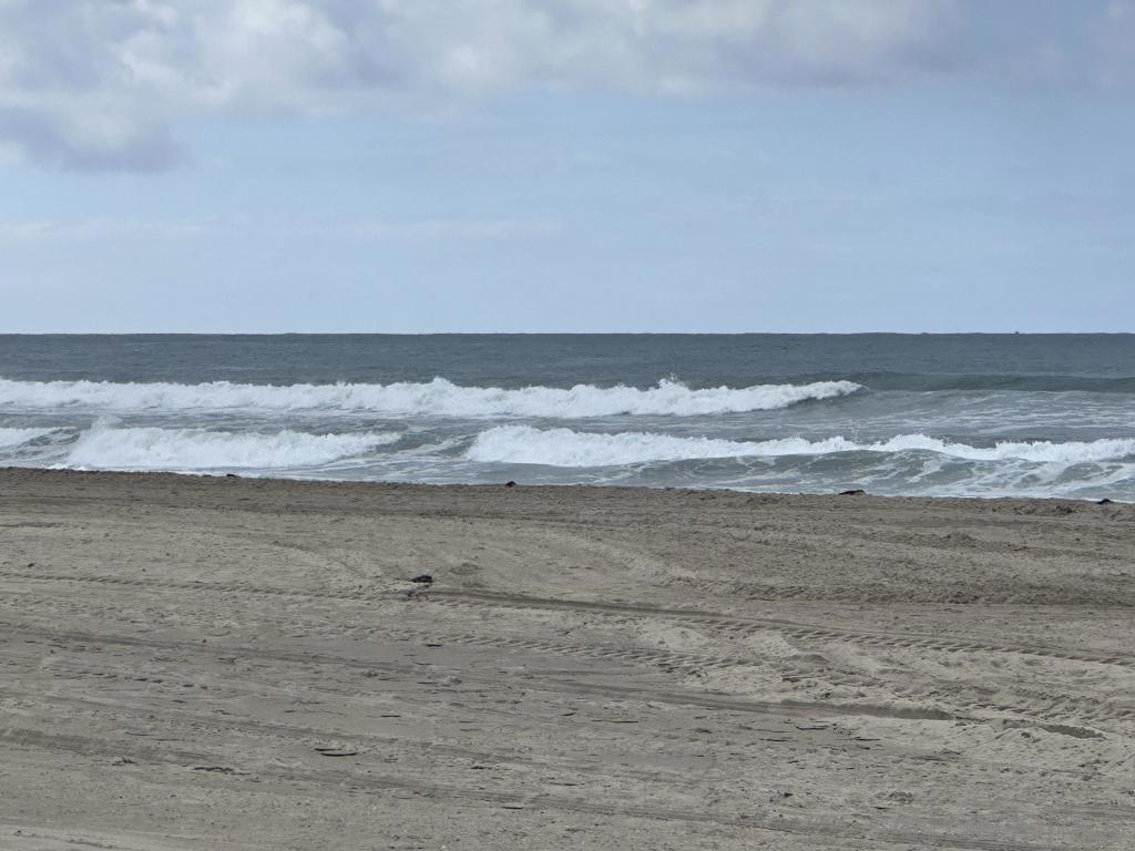 725 Redondo Ct - photo 18