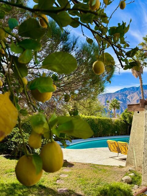 MLS #219139941DA image #51