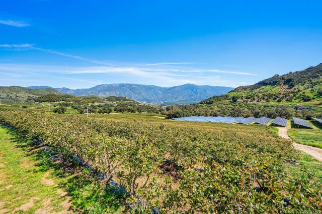 14224 Old Cole Grade Road, Pauma Valley CA: https://media.crmls.org/mediaz/f56c1fe4-ef5e-40bb-9556-a08388d02378.jpg