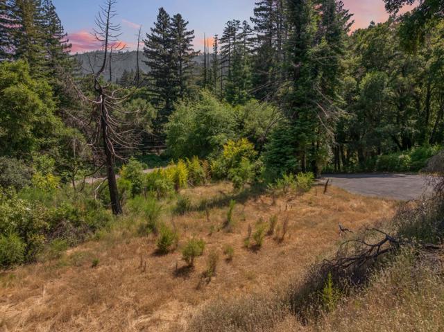 201 Hill House Road, Boulder Creek CA: https://media.crmls.org/mediaz/f56eeadd-9770-476d-9b9d-adfb15e82a85.jpg