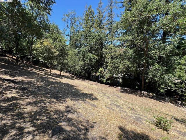 1071 Stone Valley Rd, Alamo CA: https://media.crmls.org/mediaz/f5841b04-b24a-4dd4-8f03-be4282b3f9b7.jpg