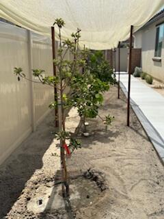 50610 Calle Cebrino, Coachella CA: https://media.crmls.org/mediaz/f58930d9-b6fd-45ff-bf14-7e5f1451ebf8.jpg