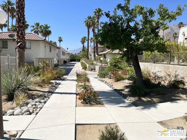 1816 N Mira Loma Way, Palm Springs CA: https://media.crmls.org/mediaz/f598abf6-3181-49c2-a991-7781c8f54c87.jpg