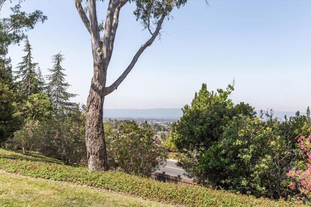 1697 Alder Creek Court, San Jose CA: https://media.crmls.org/mediaz/f59bbca8-76ba-4f4f-ae67-5a37baf77f42.jpg