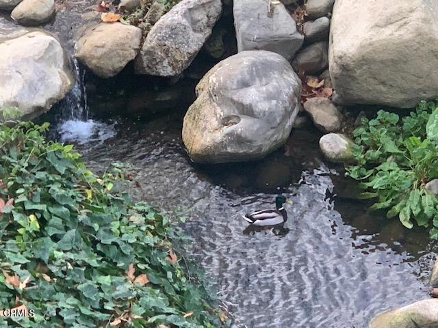 https://media.crmls.org/mediaz/f5a4dd2b-df70-45af-887c-71112c93c9fb.jpg?preset=X-Large