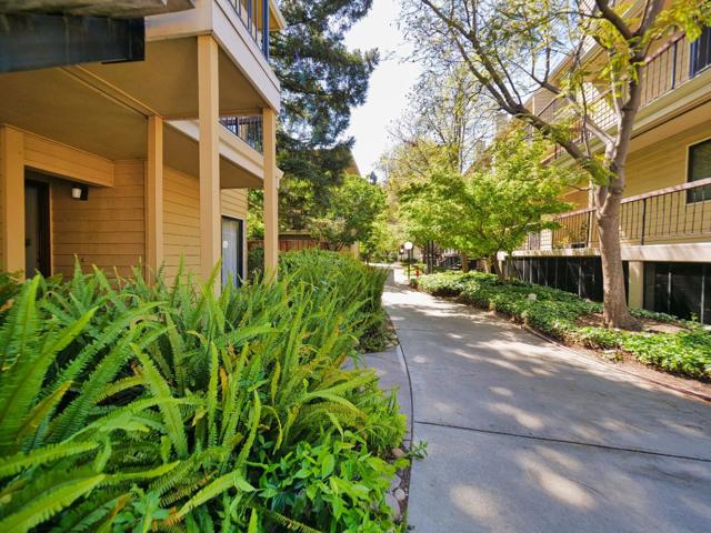 471 Northlake Drive, San Jose CA: https://media.crmls.org/mediaz/f5ac5f38-b91a-4b42-a25d-dae60d90098d.jpg
