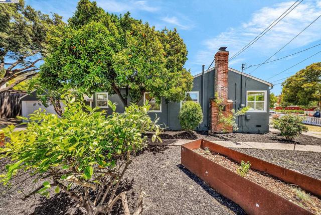 205 Julius St, San Leandro CA: https://media.crmls.org/mediaz/f5acdd96-fc27-4ff6-8513-8ed7711d136c.jpg