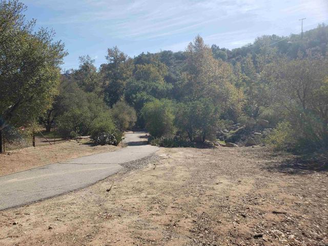 0 Daily, Fallbrook, California 92028, ,Residential Land,For Sale,Daily,NDP2206949