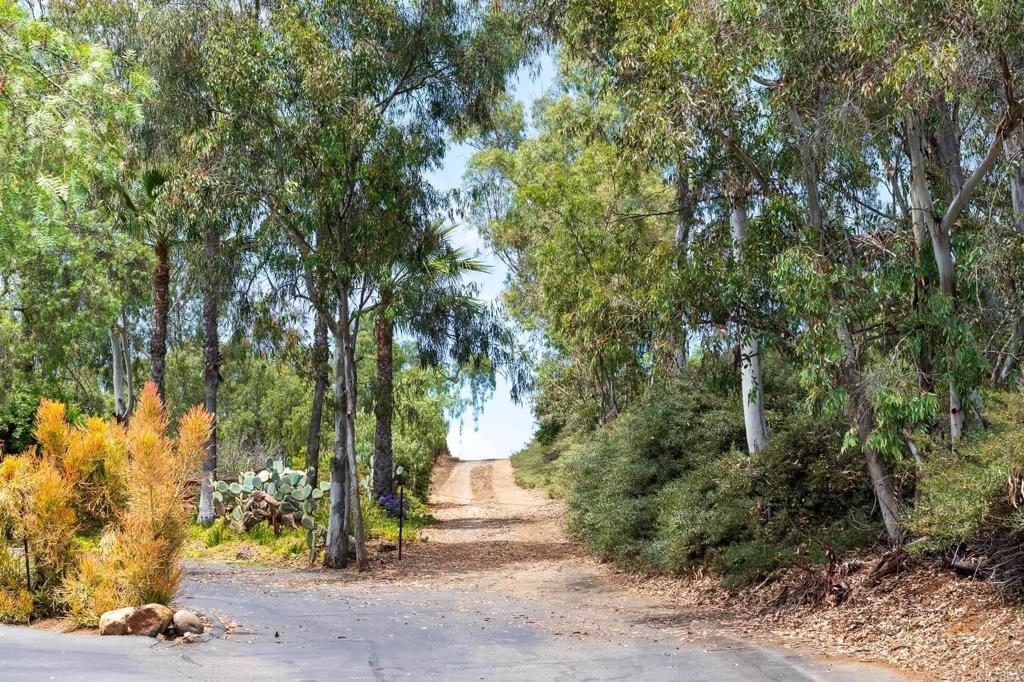 MLS #NDP2506150 image #9