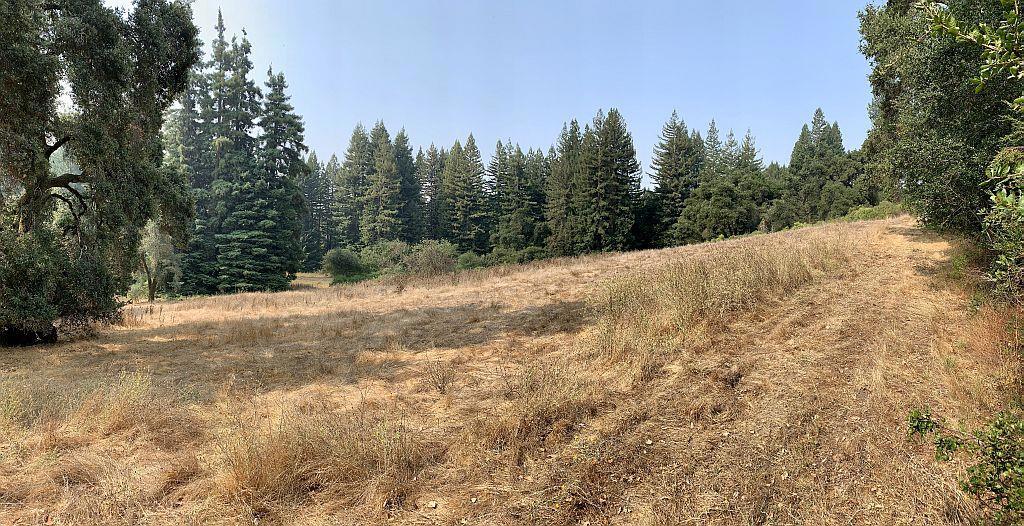 MLS #ML81810757 image #40